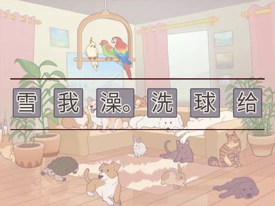 养动物 китайский