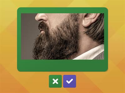 *Power Up 2 Appearance