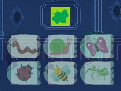 Тени тіні комахи увага внимание