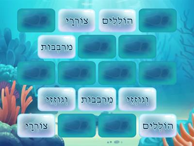 Kriah Twin Letter Shvas