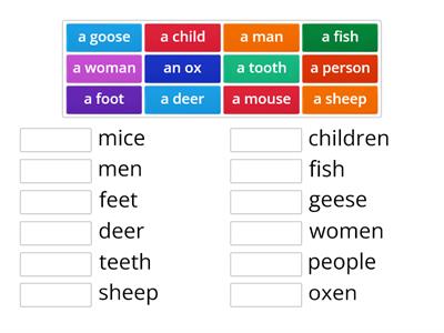 Irregular Plurals