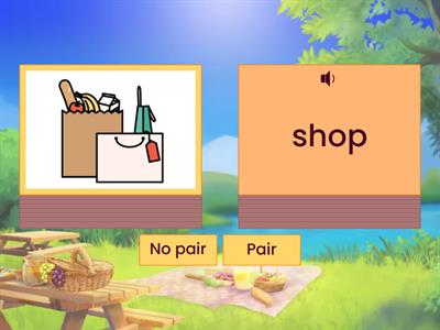 CLB 1-2: Summer Activities Pair or No Pair?