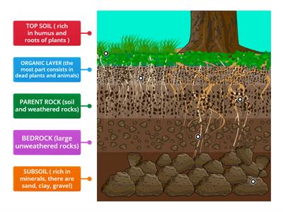 SOIL LAYERS