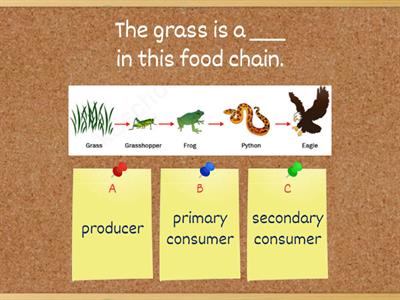 Ecology quiz