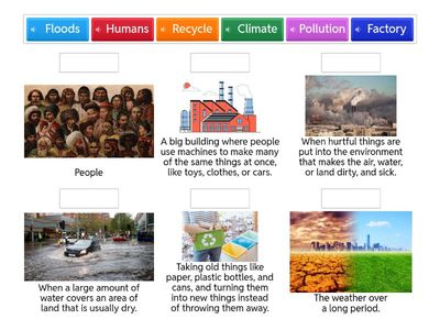 F2: Vocabulary- Human Impact on The Environment 