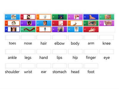 ESL Beginner Body Parts