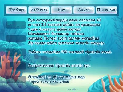 Xxx колготки бейне онлайн