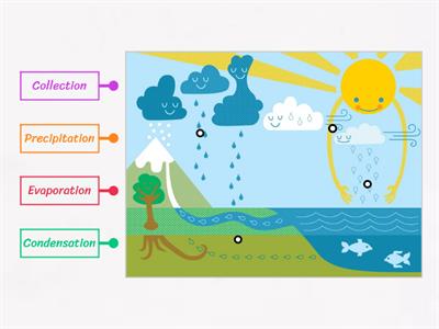 The Water Cycle