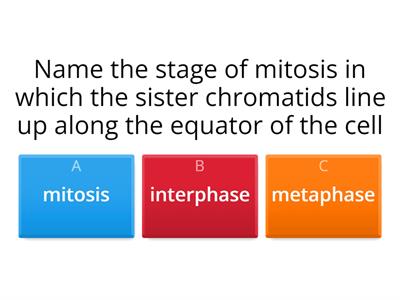 Cell Division 