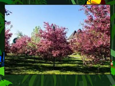 Короткі слова