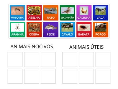 ANIMAIS ÚTEIS E NOCIVOS