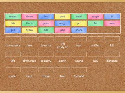 Root Words