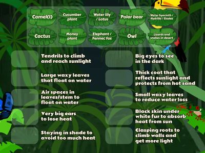 P.6 Science - Adaptation(1)