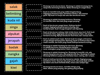 Deskripsi buah dan binatang (match up)