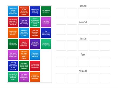 EC I4 M1 7B Sensory Situations