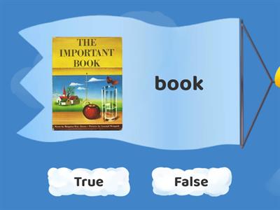 True or False Noun