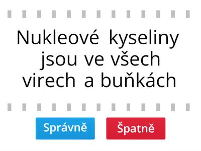 NUKLEOVÉ KYSELINY- pravda nebo lež