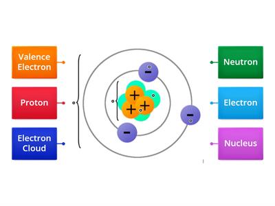 Label the Atom