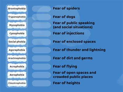 Phobias matching exercise London centre of English Wlodawa