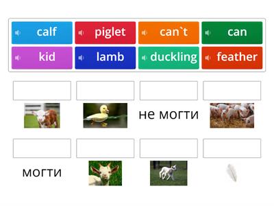 Англійська мова 3 клас Будна ЮНІТ 7