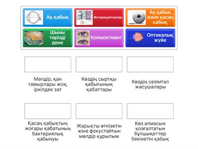 Қыз жыныстық қатынасқа барлап, мастурбация жасайды