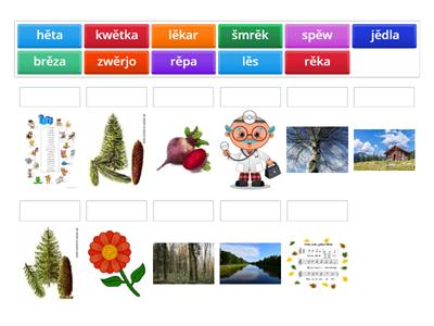 słowa z pismikom ě