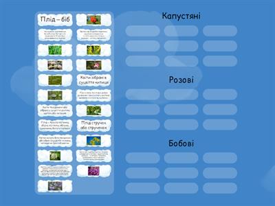 Капустяні, розові, бобові