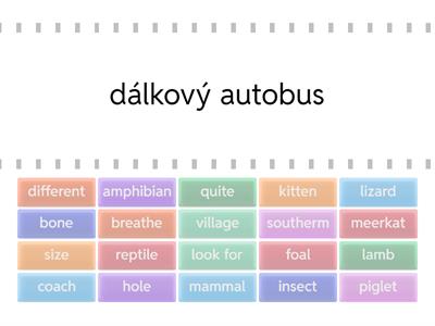 Project Unit 2 - vocabulary