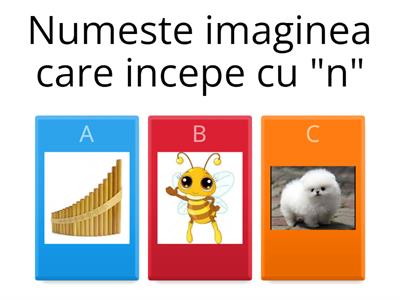 Comunicare In limba Romana