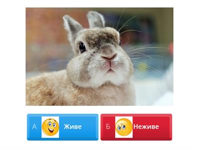 Дидактична гра " Живе- неживе"