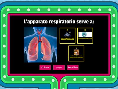 Apparato respiratorio