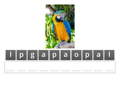 Parole con le doppie