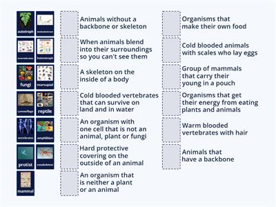 Year 7 science - biology 2