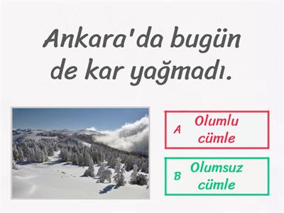 Cümle Türleri 