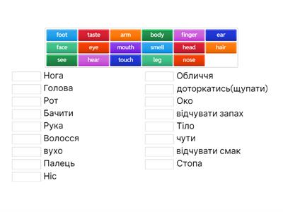 Частини тіла 