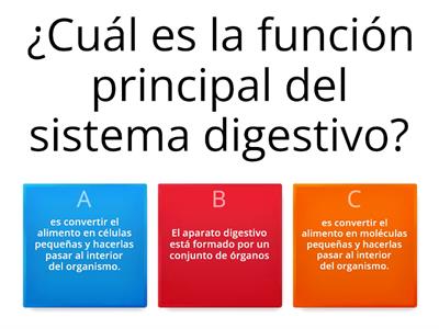 EL SISTEMA DIGESTIVO