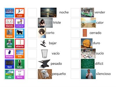 Antónimos (opuestos)