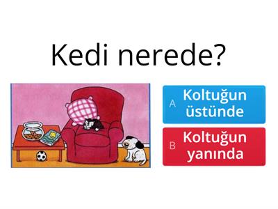 üstünde- yanında - altında