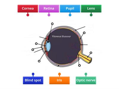 The eye diagram