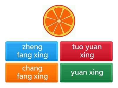 Shape1 Circle Square Rectangle Oval