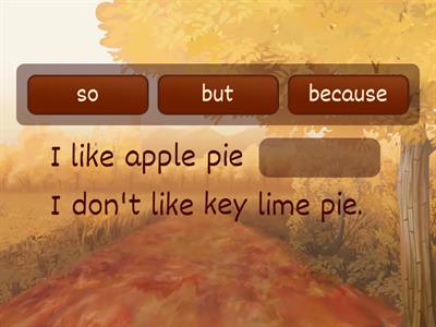  Conjunctions: so, but, because