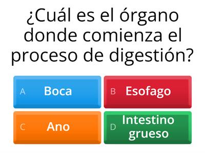 EL SISTEMA DIGESTIVO Y SU FUNCIÓN