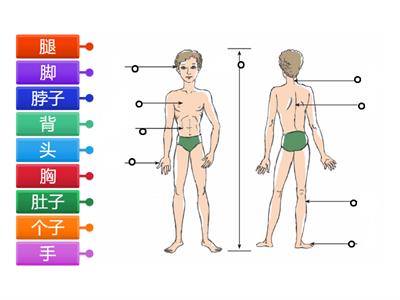 Ван Луся 6 класс 5 урок