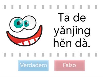 Y3 L6 descripción del cuerpo