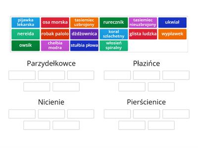 Od parzydełkowców do pierścienic