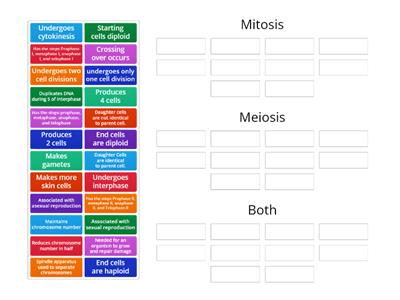 Compare and contrast mitosis and meiosis