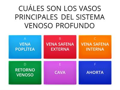 ANATOMÍA APLICADA A LA DANZA 4TO BÁSICO SUPERIOR 2DO PARCIAL DEL SEGUNDO QUIMESTRE SEMANA 36