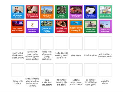 HAVE EN vocab pairing