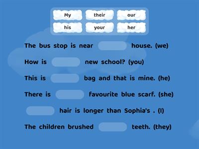 Possessive pronouns.