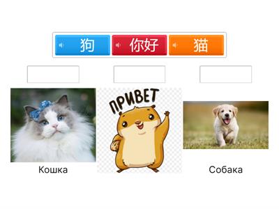 Китайский язык для Сафии